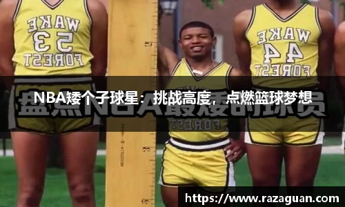 NBA矮个子球星：挑战高度，点燃篮球梦想